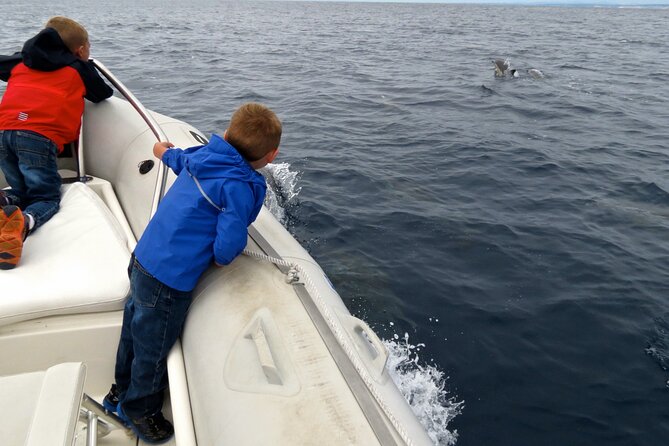 Whale and Dolphin Watching in San Diego - What three hours on the water really feels like