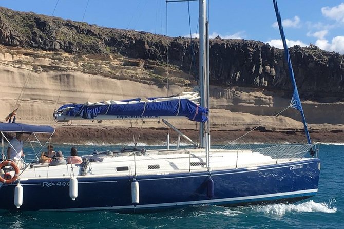 Whale and Dolphin Watching Sailing Boat with Drinks, Snacks and Swimming Time - Who will enjoy this boat trip most?