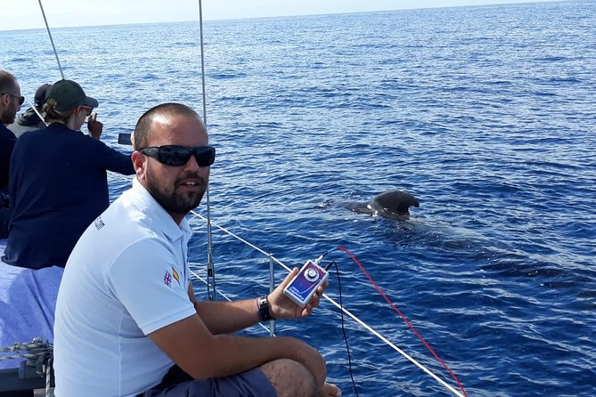 Whale and Dolphin Watching Sailing Boat with Drinks, Snacks and Swimming Time - Practical details that make the day easier