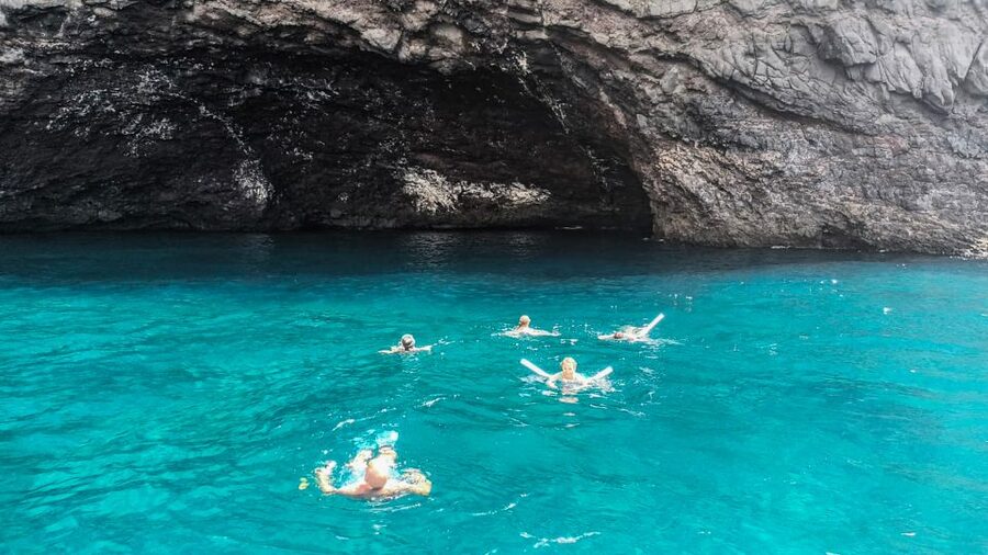Whale and Dolphin Watching Sailing Tour – Los Gigantes (3H) - What the included food and drinks are really like