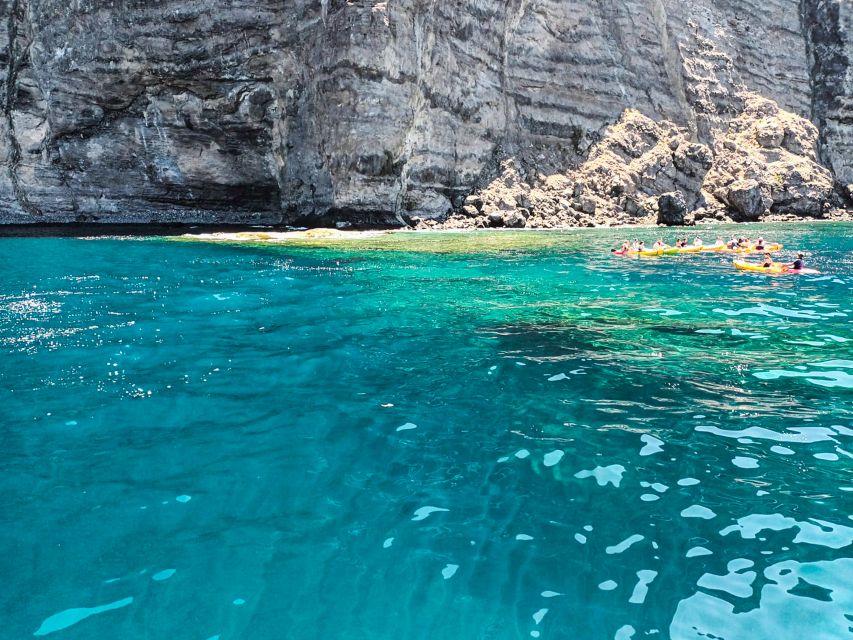 Whale and Dolphin Watching Sailing Tour – Los Gigantes (3H) - Timing, comfort, and the rough-water question
