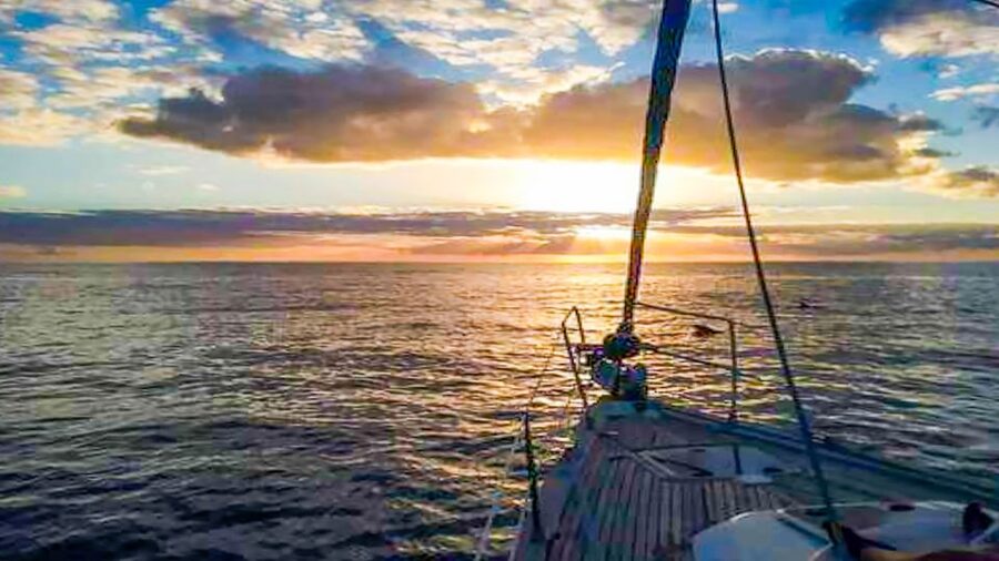 Whale and Dolphin Watching Sailing Tour – Los Gigantes (3H) - Who will enjoy this Los Gigantes cruise most?
