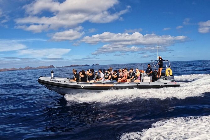 Whale and Dolphin Watching Tour from Funchal - How much value do you get for $58.07?