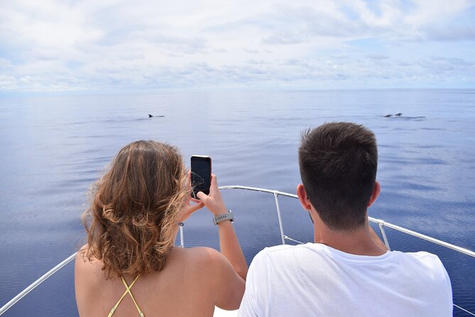 Whale and Dolphin Watching Tour in Madeira - Why this Madeira boat trip is more than whale watching