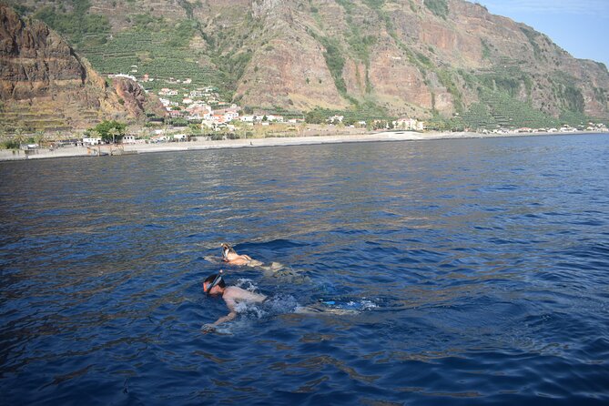 Whale and Dolphin Watching Tour in Madeira - Is $83.44 good value?