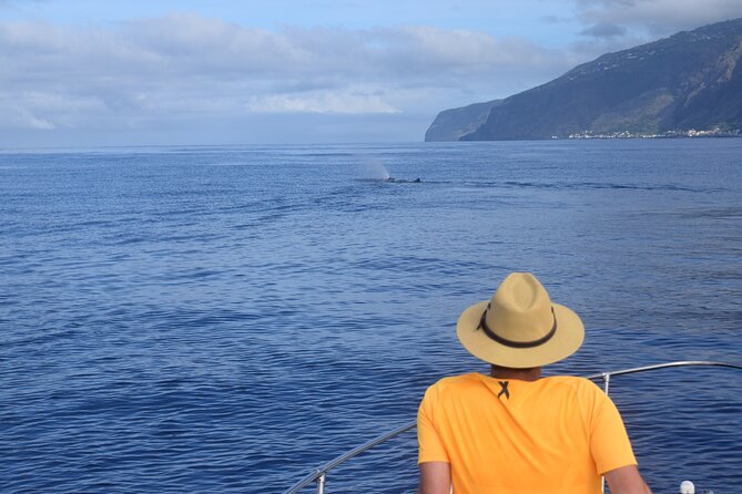 Whale and Dolphin Watching Tour in Madeira - Who will enjoy this tour most?