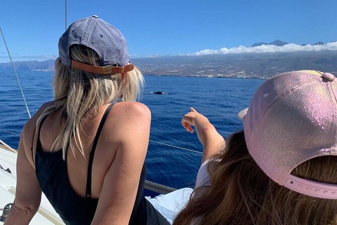 Whale and Dolphin Watching Yacht Trip in Puerto Colon - Is the $62.56 price good value?