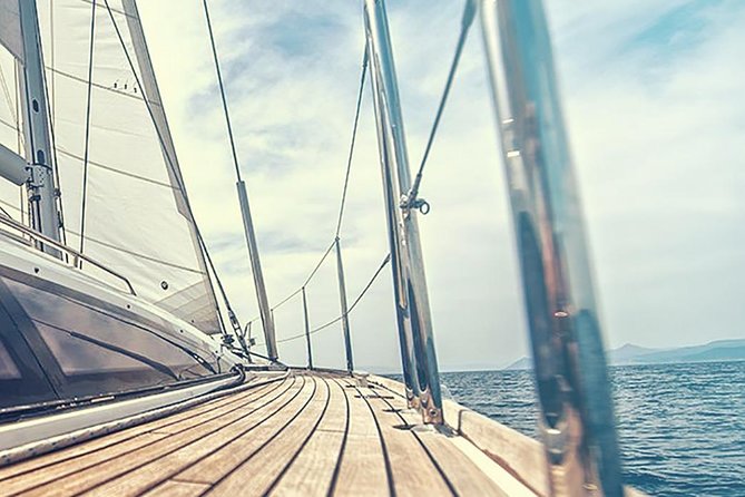 Whale and Dolphin Watching Yacht Trip in Puerto Colon - Who will enjoy this trip most?
