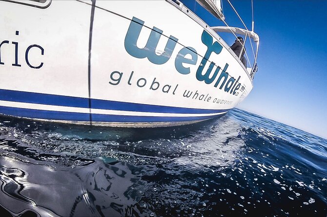 Whale & Dolphin Observation on Electric Sailing Boat in Denia - A quiet start from Dénia at 9:00 am