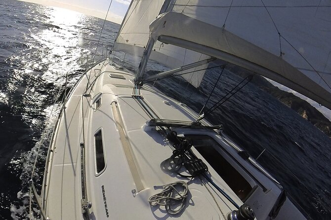 Whale & Dolphin Observation on Electric Sailing Boat in Denia - Sophia, Norma, and the human side of the trip