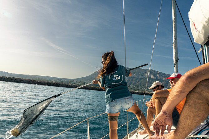 Whale & Dolphin Observation on Electric Sailing Boat in Denia - Why the electric motor matters