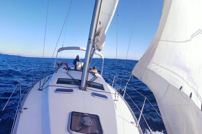 Whale & Dolphin Observation on Electric Sailing Boat in Denia - Is $114.39 a fair price?