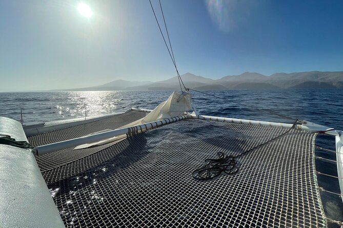 Whale & Dolphin Observation on Silent Catamaran with Hydrophone - Key points to know before sailing