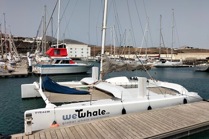 Whale & Dolphin Observation on Silent Catamaran with Hydrophone - Leaving Puerto Calero on a quiet boat