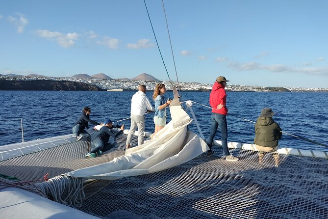 Whale & Dolphin Observation on Silent Catamaran with Hydrophone - Is $114.65 a fair price?