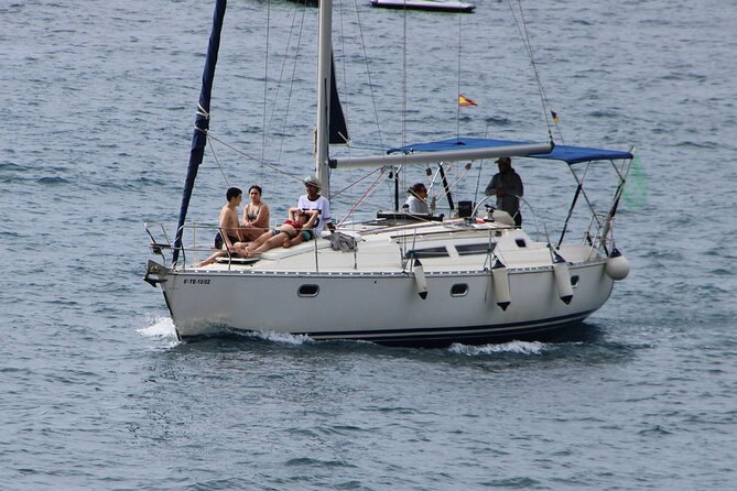 Whale & Dolphin Watching Boat Trip in Tenerife On a Sailing Boat (3 Hr) - How the $52.35 price works out