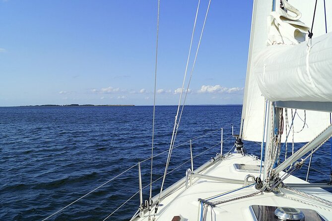 Whale & Dolphin Watching Boat Trip in Tenerife On a Sailing Boat (3 Hr) - Choosing the right departure and group size