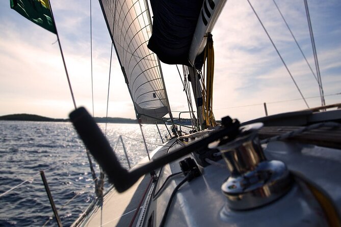 Whale & Dolphin Watching Boat Trip in Tenerife On a Sailing Boat (3 Hr) - Weather, cancellation, and the importance of flexibility
