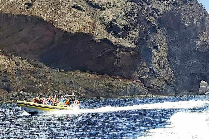 Whale & Dolphin Watching in Madeira - Practical things to bring and plan