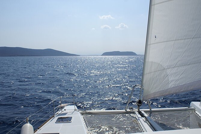 Whale & Dolphin Watching in Tenerife (Puerto Colon) On a Large Catamaran - Food, open bar, and the real value of $54.29