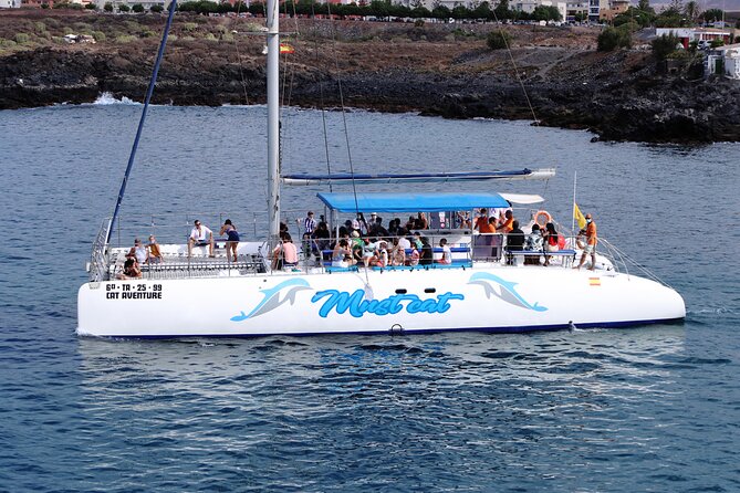 Whale & Dolphin Watching With Mustcat Virgin Coast Trip On a Large Catamaran - Food, drinks, and the real value of $58.17