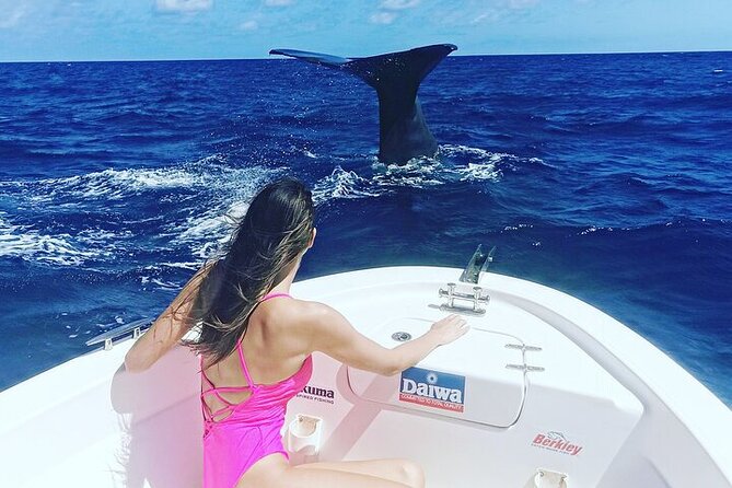 Whale Dream ltd - Whales watching and swim with dolphins - Who should book this Mauritius whale tour
