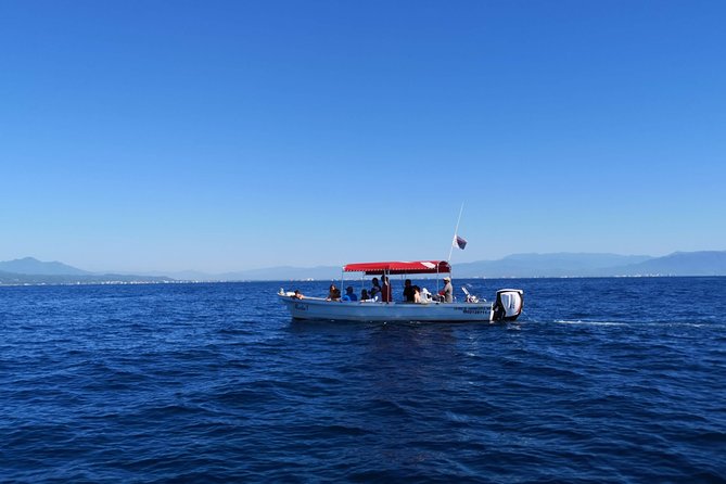 Whale Encounter Puerto Vallarta - Practical details that can make or break the morning
