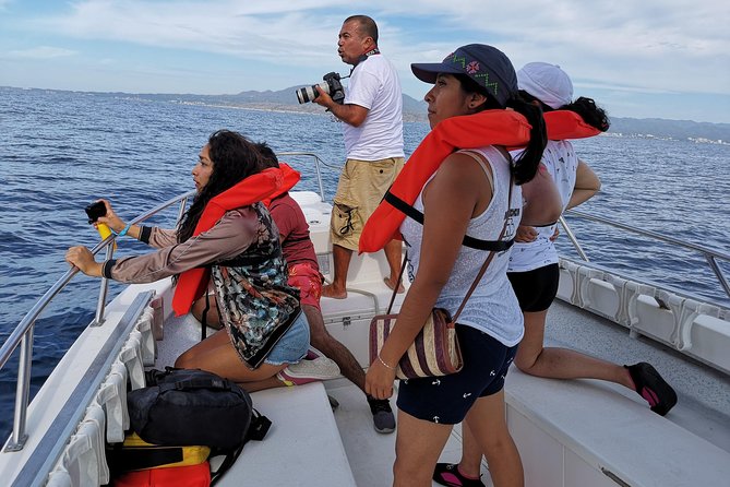Whale Encounter Puerto Vallarta - The wildlife you might see in Puerto Vallarta Bay