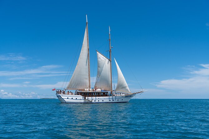 Whale's Tale Day Cruise from Port Denarau - Sailing from Port Denarau into the Mamanucas