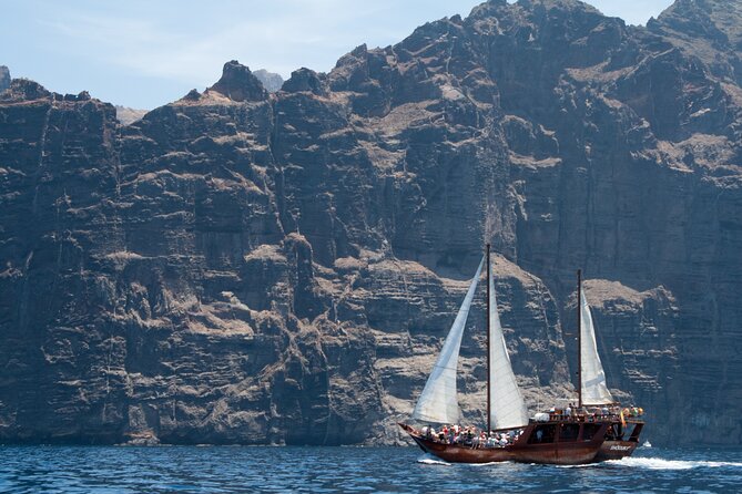 Whale Safari to Los Gigantes with pickup from North - Masca Bay: lunch, swimming, and a short break