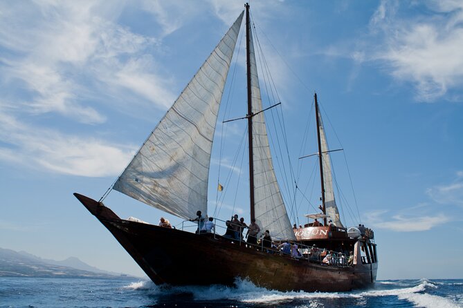 Whale Safari to Los Gigantes with pickup from North - The return along Tenerife’s southwest coast