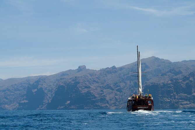 Whale Safari to Los Gigantes with pickup from North - Who will enjoy the Shogun most?