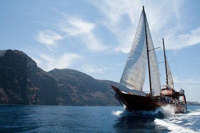 Whale Safari to Los Gigantes with pickup from North - From Puerto de la Cruz to Puerto Colón