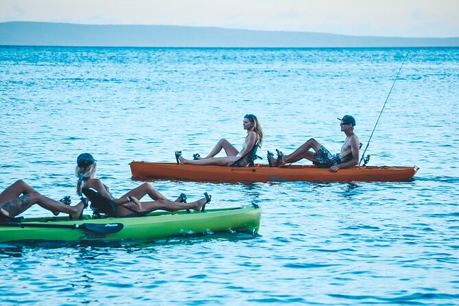 Whale Watch and Scenic Tour from Kayak - What whale season really means