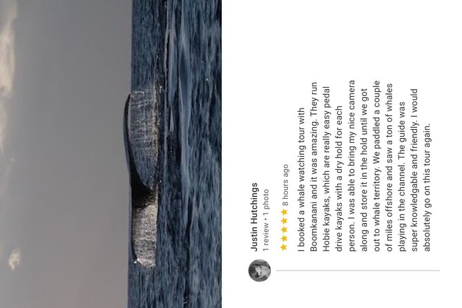 Whale Watch and Scenic Tour from Kayak - The scenic route outside whale season