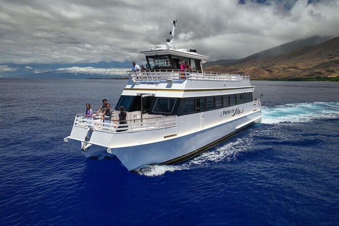 Whale Watch and Turtles Snorkel - Whale watching is the strongest part of the trip