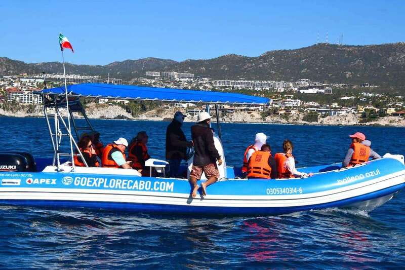 Whale Watch Cabo: Zodiac Whale Adventure - FREE Photos - What to bring and what is not provided
