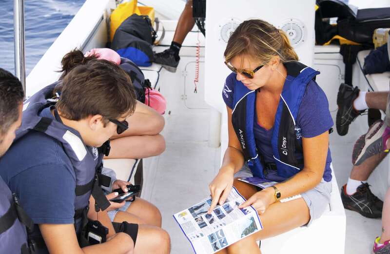 Whale Watch Cabo: Zodiac Whale Adventure - FREE Photos - From Plaza Bonita to the Arch