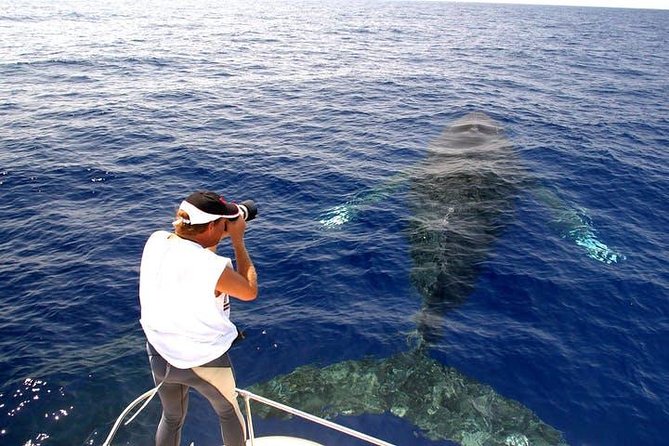 Whale Watch Excursion from the Big Island - Listening for whales with the hydrophone