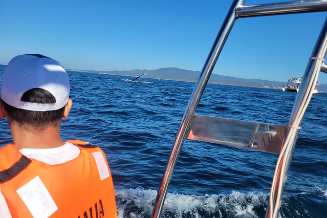 Whale watching 3 hours in Puerto Vallarta - English guidance needs a reality check