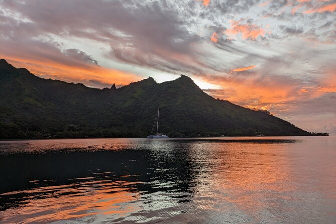 Whale watching 6 people half day - Who will enjoy this Moorea outing most?