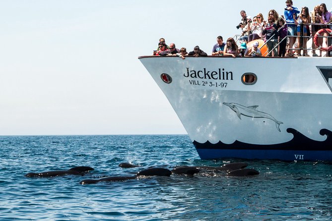 Whale Watching - Value at $110.01 per person