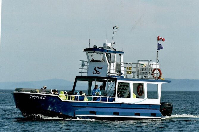 Whale Watching Adventure from Vancouver BC - Who will enjoy this most