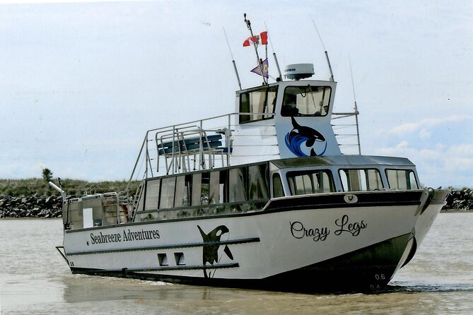 Whale Watching Adventure from Vancouver BC - Practical tips for a better outing