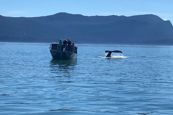 Whale Watching Adventure in Juneau - Boarding the jet boat at Auke Bay