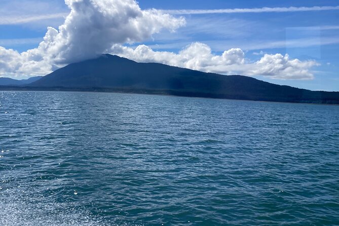 Whale Watching Adventure in Juneau - Who will enjoy this outing most