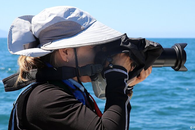 Whale Watching Adventure – Led by a Marine Biologist - Small groups and the value of the price