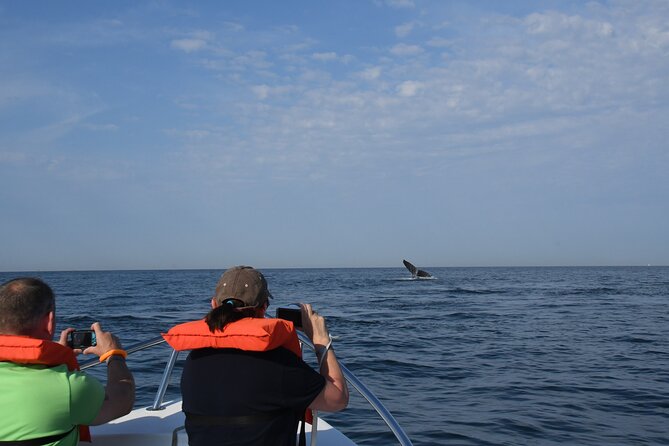 Whale Watching Adventure – Led by a Marine Biologist - Who will enjoy this whale watch most