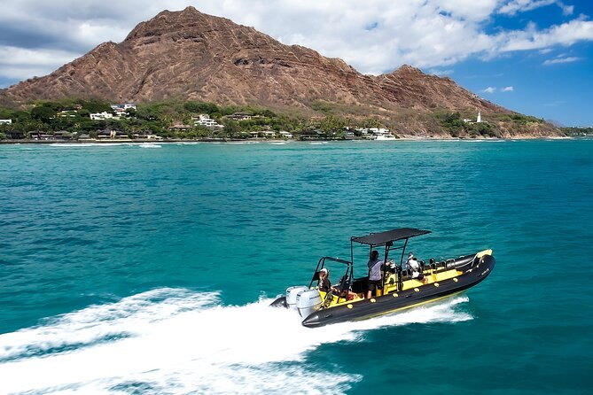 Whale Watching Adventure -Speed Boat & Small Group - What the crew adds to the trip