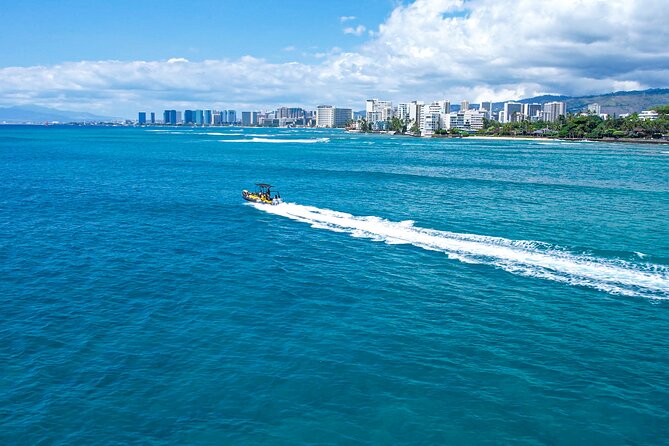 Whale Watching Adventure -Speed Boat & Small Group - How wet and active is the ride?